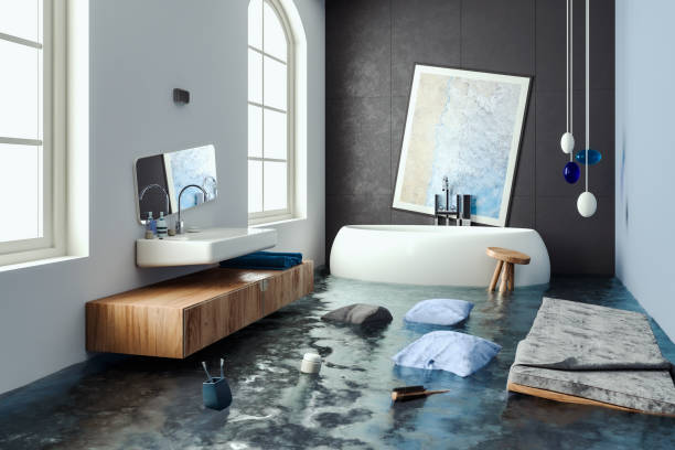 Best Mold removal after water damage  in Camp Barrett, VA
