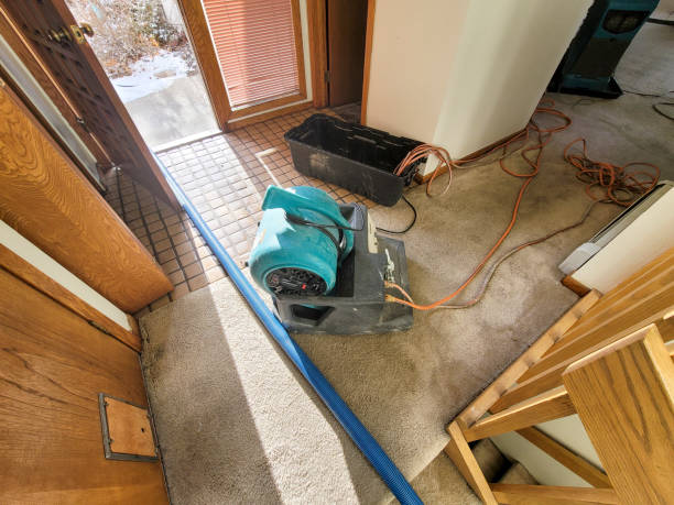 Best Basement water damage restoration  in Camp Barrett, VA
