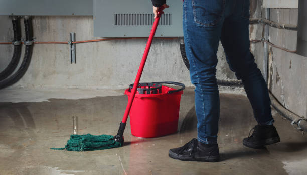 Best Professional water damage repair  in Camp Barrett, VA