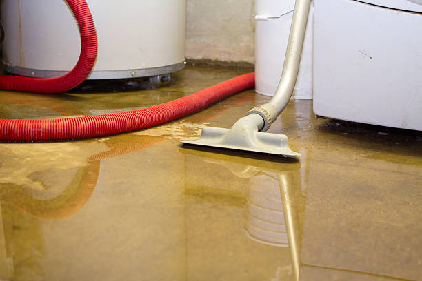 Best Emergency water damage restoration  in Camp Barrett, VA