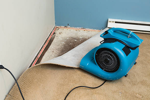 Best Water damage cleanup near me  in Camp Barrett, VA